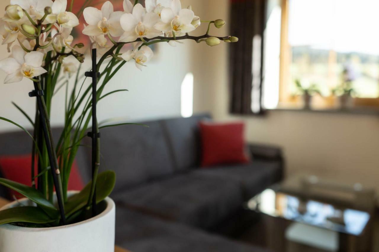 Biobauernhof Gast Apartment Mariapfarr Luaran gambar