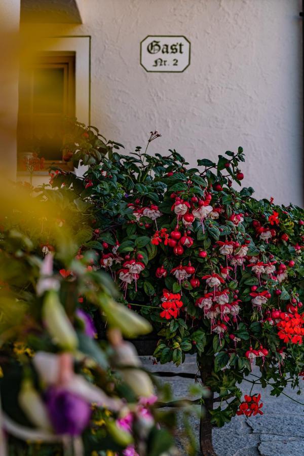Biobauernhof Gast Apartment Mariapfarr Luaran gambar