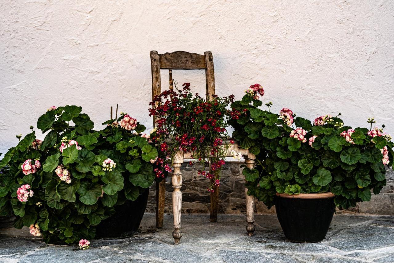 Biobauernhof Gast Apartment Mariapfarr Luaran gambar
